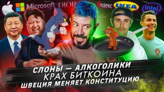 № 360 Слоны — алкоголики / Крах биткойна / Швеция меняет конституцию