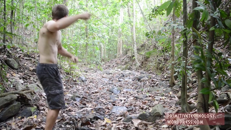 Primitive Technology Праща